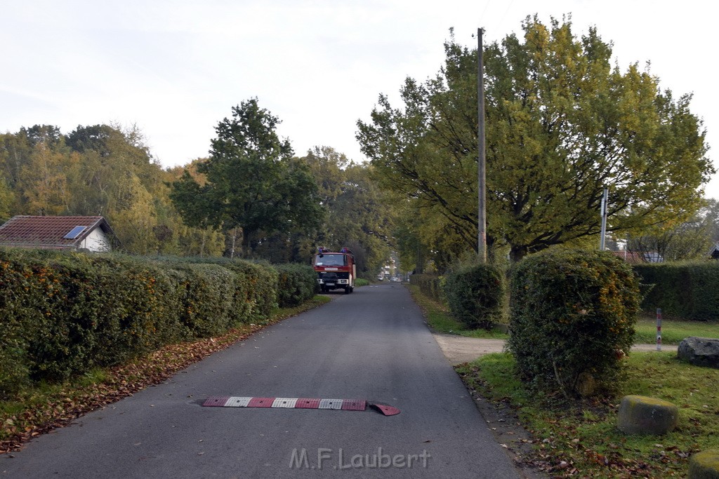 Feuer 1 brannten 3 Lauben Koeln Fuehlingen Kriegerhofstr P004.JPG - Miklos Laubert